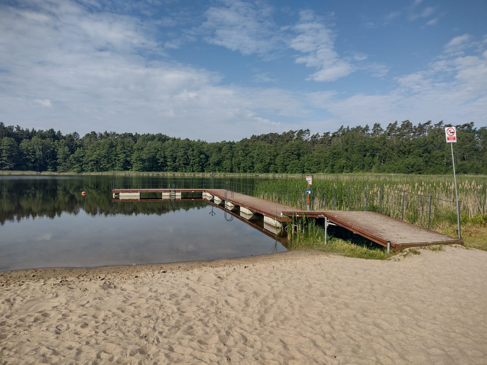 Pomost i naturalne otoczenie Jeziora Mormin w pobliżu Willi Mormin