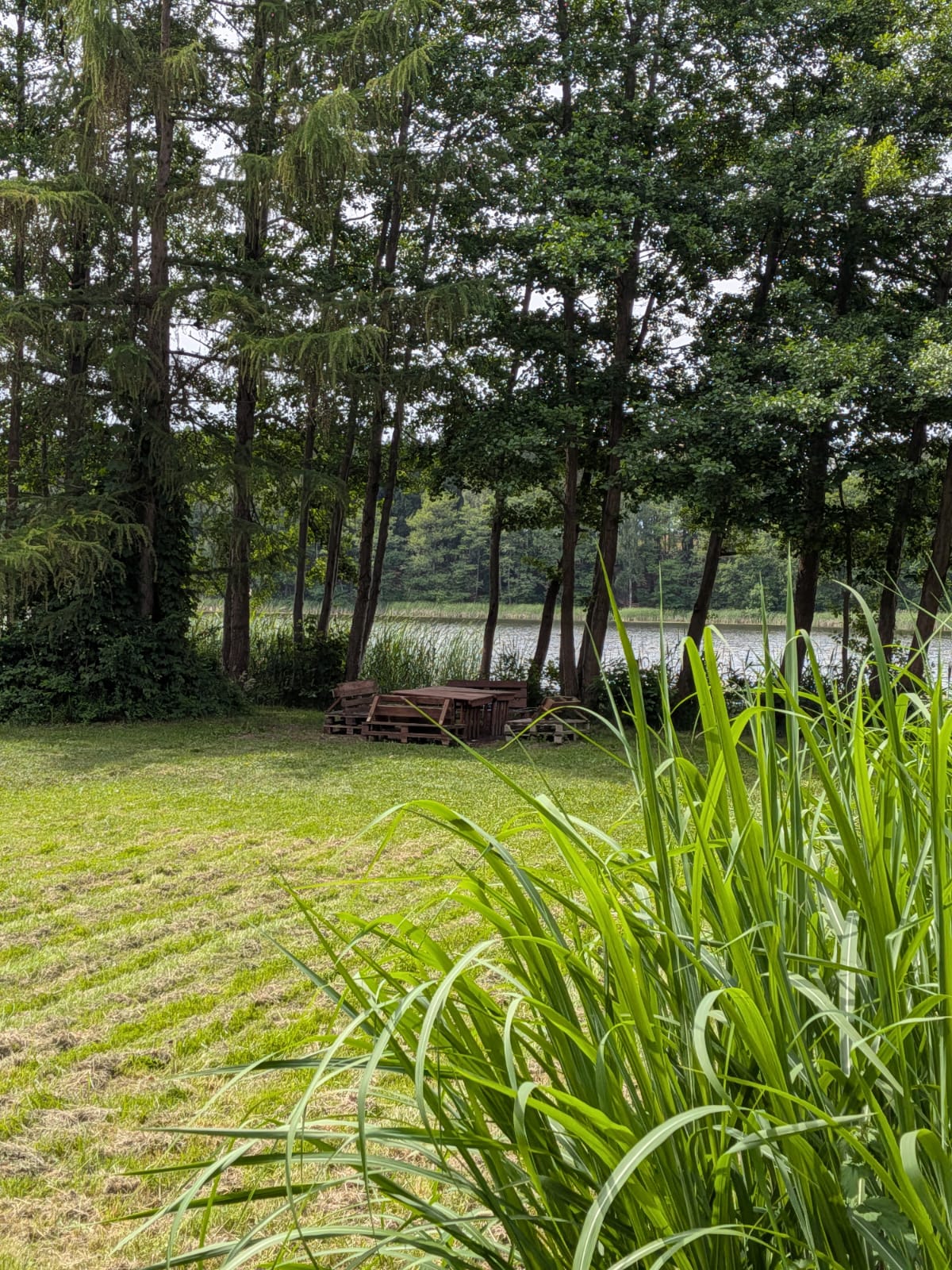 Leśna ścieżka w naturalnej okolicy Jeziora Mormin i Willi Mormin